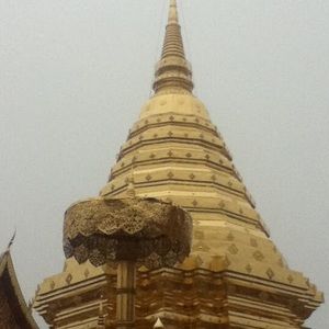 Meet your Posher, ธันยนิจ